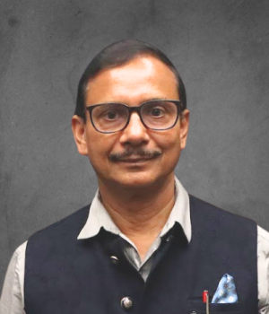 Ravi Shankar Prasad, IAS retd